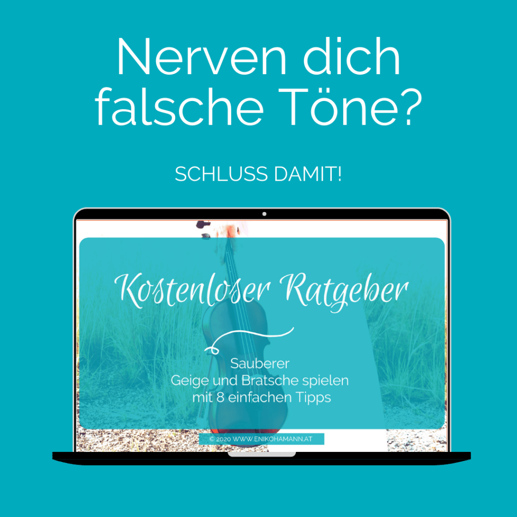 Kostenloser Ratgeber Geige Violine Bratsche